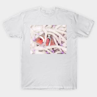 Clown Fish T-Shirt